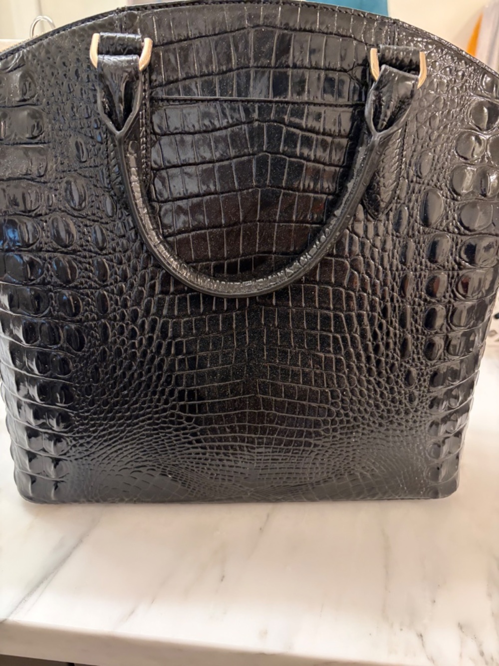 Brahmin - Picture 4 of 8